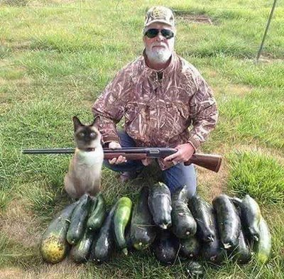 Hunting zuchinni.