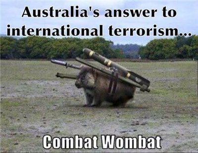 Combat wombat.jpg