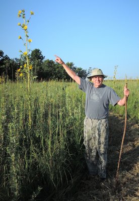 Giant compass plant dwarfing Max